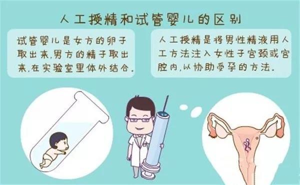 正规借卵试管代怀_正规借卵试管代怀:全面解读流程与风险