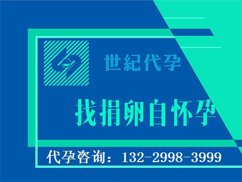 广州供卵试管孩子中介(广州供卵试管孩子中介服务平台)