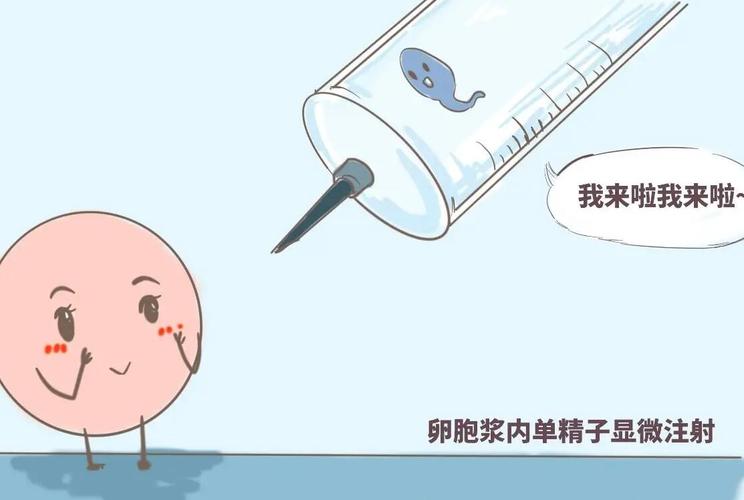 广州代生男孩多少钱-广州代生男孩价格咨询