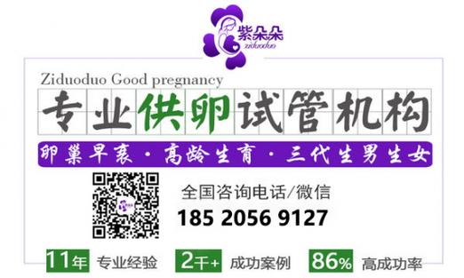广州专业试管供卵机构_广州专业试管供卵机构服务大全