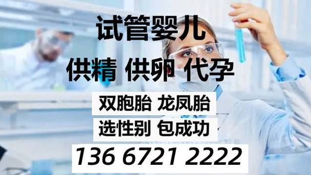 正规借卵试管代怀机构(正规借卵试管代怀机构:助您实现生育梦想)